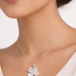 ChatGPT Image Feb 20, 2026, 02_29_56 PM