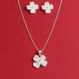 ChatGPT Image Feb 20, 2026, 02_30_57 PM